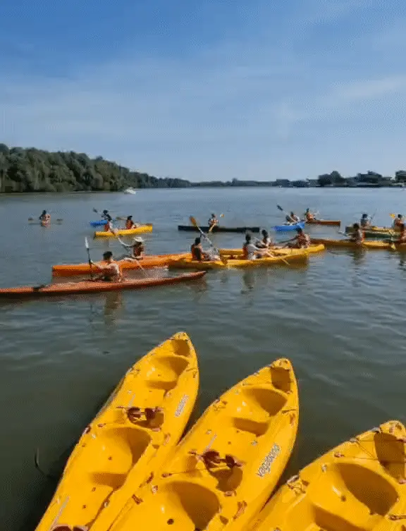 Company team building