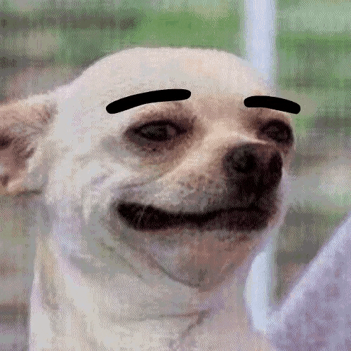 Brows gif