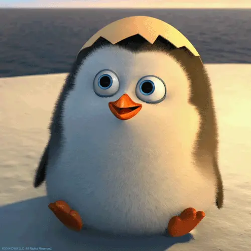 Penguin gif